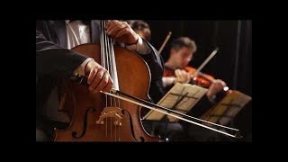 String Quartet  Classical Violin Cello and Viola Music 10 Hours Best Relaxing Music [upl. by Nilatak786]