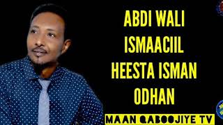 ABDI WALI SAYIDKA HEESTA ISMA ORAN 2019 [upl. by Nyladnohr]