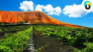 LANZAROTE Urlaub Tipps 🗻🌴 Sehenswürdigkeiten auf der Vulkaninsel  Guru on Tour [upl. by Relyhs]