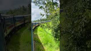 Beautiful View of Udarata Menike Through Tea Estates srilanka nuwaraeliya badulla trainride [upl. by Erlond]