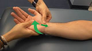 Wrist Special Tests Watson Scaphoid Shift [upl. by Muir]