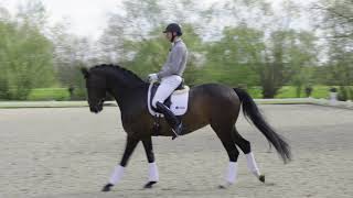 Patrik Kittel Dressage Tour S2E2  Medelsvår Nivå Galoppombyten [upl. by Ingrid492]