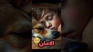 أب وابنه الصغير يتوقف عن البكاء في حضن الكلب🥺❤️ اكسبلور explore [upl. by Nerraf261]