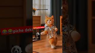 Tu cheez badhi hain 🧿👉cat funny dance 😂shorts trending shortreels bollywood hindisong [upl. by Naitsirk]