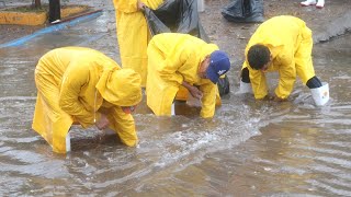 Street Drainage Solutions for Big Flood Clearing Blocked Storm Drains [upl. by Blockus]