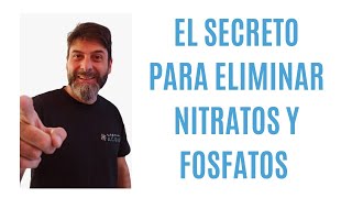 Cómo eliminar nitratos y fosfatos Super fácil [upl. by Yatnohs126]