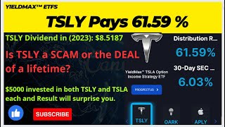 TSLY ETF High Paying Dividend Stock YieldMax ETF [upl. by Ailem]