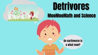 What is a detrivore [upl. by Mossolb362]