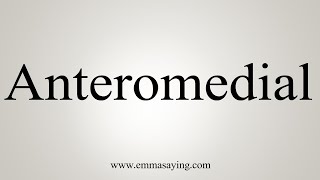 How To Say Anteromedial [upl. by Gabbey]