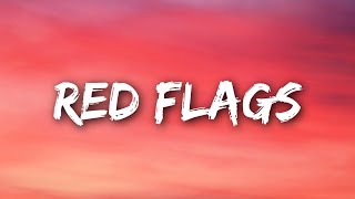 Mimi Webb  Red Flags Lyrics [upl. by Ingunna]