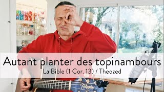 Autant planter des topinambours  Theozed [upl. by Kurtzig876]