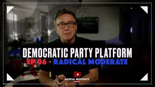 Explaining The Democratic Party Platform [upl. by Aikam]