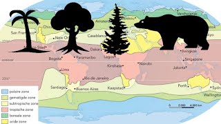Landschapszones subtropische gematigde boreale en polaire zone [upl. by Anastatius]