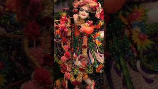 Hare Krishna 🙏 Hare Krishna 🙏 krishnabhajan bhaktistatus bhajans lordkrishna shortsfeedkrishna [upl. by Evander]