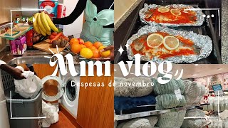 Mini vlog com despesas de novembro  dourada no forno rotina diária  por cleria Capinãla [upl. by Ahsenrat]