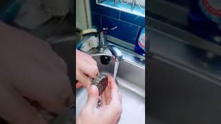 How to clean a Magnaclean Micro 2 filter 🧼 [upl. by Sucramej]