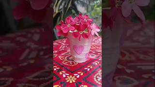 Mini Flower Pot ✨😍 😍artandnature24 diy flowerpot  bts shots youtubeshorts [upl. by Yesrej]