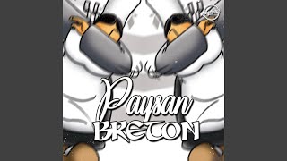 Paysan Breton Remix [upl. by Ihcelek]