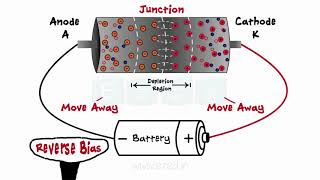 Diodes  What Are Diodes  PN Junction  Forward Bias  Reverse Bias  Zener Diodes [upl. by Gupta]