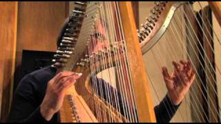 Harpist Jacques Vandevelde quot Melodia Nueva quot [upl. by Keir]