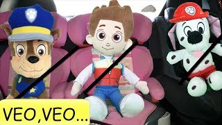 Patrulla canina español y paw patrol bebeslos cachorros juegan al veoveo y se divierten de viaje [upl. by Hyrup]