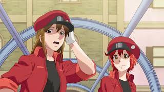 hataraku saibou episode 3 [upl. by Ohcamac]