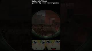 killclip  Stalker Call of Pripyat 02 gameplayclip [upl. by Yllut52]