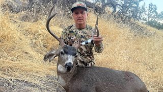 Big Blacktail Buck Down  California A Zone [upl. by Ettennahs527]