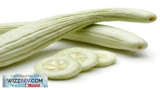 Cucumber Armenian White Metki Serpent Melon – Seeds Review [upl. by Danaher]