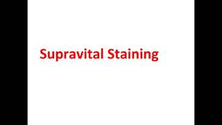 rRP SUPRAVITAL STAINING [upl. by Arnulfo]