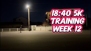 Easy Run Pace Fueling on Long Runs Threshold Workouts Progression Runs Puma Running  5k Week 12 [upl. by Ira]