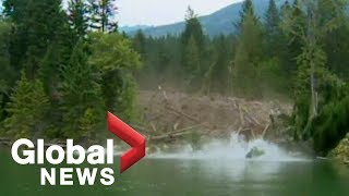 EPIC mudslide caught on camera Raw Video [upl. by Aiouqes346]