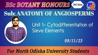 Cytodifferentiation of Sieve Elements [upl. by Siderf689]