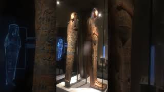 Egizio museo Torino kahire travel ancient culture muzeum egypt reels shortsvideo shorts [upl. by Haela]