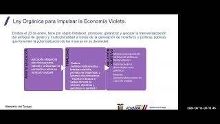 Webinar Elaboración Plan de Igualdad y prioridades del Ministerio del Trabajo [upl. by Aleil]