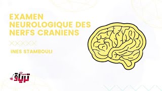 Sémiologie  LEXAMEN DES NERFS CRANIENS partie 1 par INES STAM [upl. by Steffie]