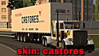 Skin paquetería castores WTDS  Big [upl. by Darsie]