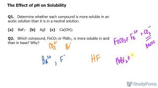 ⚗️ The Effect of pH on Solubility [upl. by Artsa732]