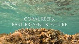 Coral Reefs Past Present amp Future  IITGN Short Course SC306 to Lakshadweep Archipelago [upl. by Bratton59]