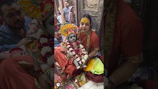 Banke Bihari Mandir Vrinadavan bankebihari vrindavan shorts short trending youtubeshorts love [upl. by Ynaittirb]