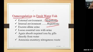 Osmoregulation in fish fresh water and marine water biology  Drrafique pitafi [upl. by Finella853]