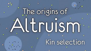 The Origins of Altruism Kin selection [upl. by Orazio354]