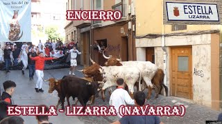 Encierro EstellaLizarra Navarra Mayo 2024 [upl. by Inilam]