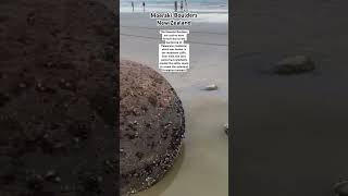 Moeraki Boulders newzealand mysteryunveiled [upl. by Kant]