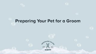 Preparing Your Pet for Grooming  PetSmart [upl. by Isidoro]