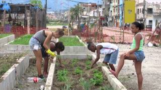 Manguinhos Favela Garden [upl. by Aihsenet]