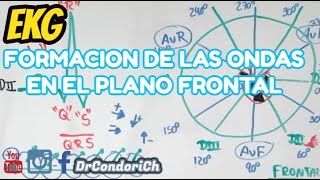 La formación de las ondas en el plano Frontales quotderivacionesquot electrocardiograma facil [upl. by Rimma]