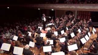 Harry Potter and the Chamber of Secrets Dobby the House Elf theme performed by ASO John Williams [upl. by Ydnak]