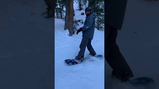 Backcountry Snowboarding [upl. by Goldin]