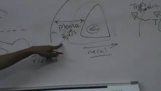 Respiratory Revision Intro  Respiratory and Intrapleural Pressure Dr Mohamed Fayez [upl. by Etiragram653]